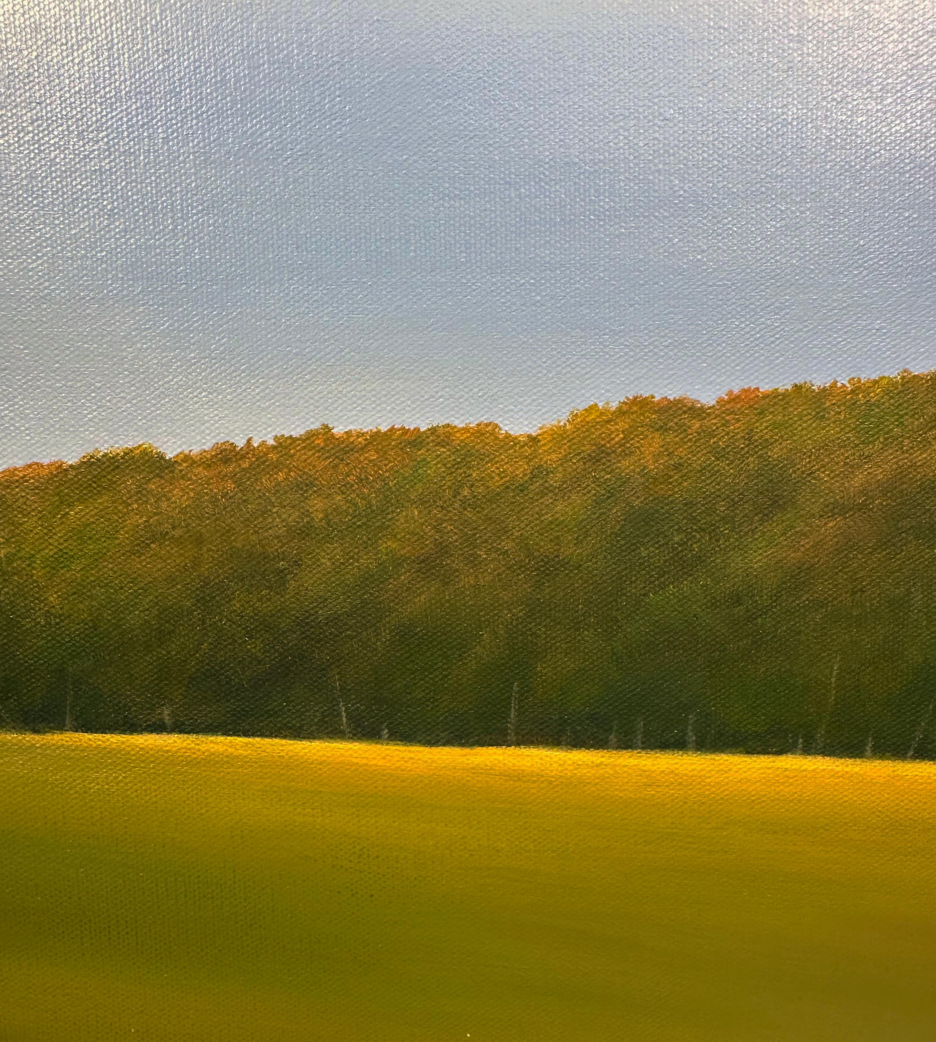 Luce del mattino - Quadro originale di paesaggio - Landscape Painting Grigio di Ahzad Bogosian