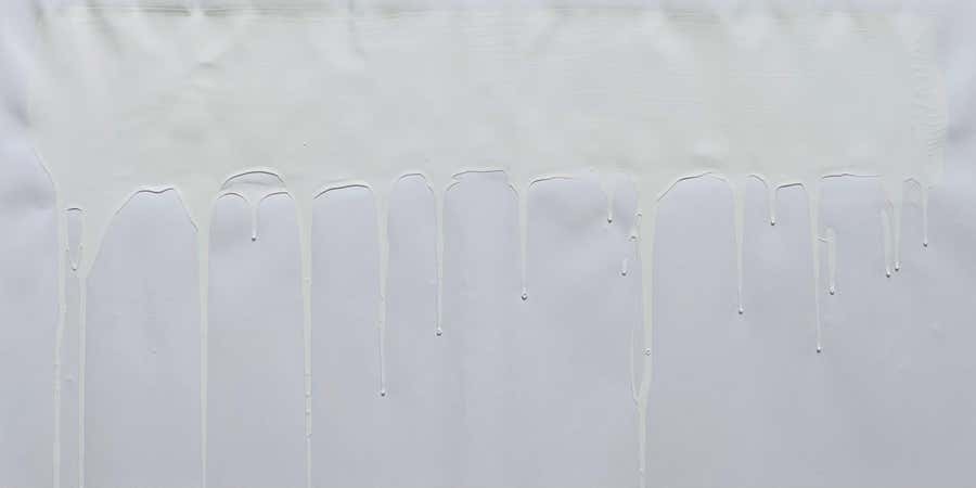 Untitled 2015 (2015) (White) (signed)
