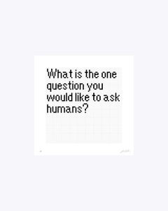 81 Questions (2024)