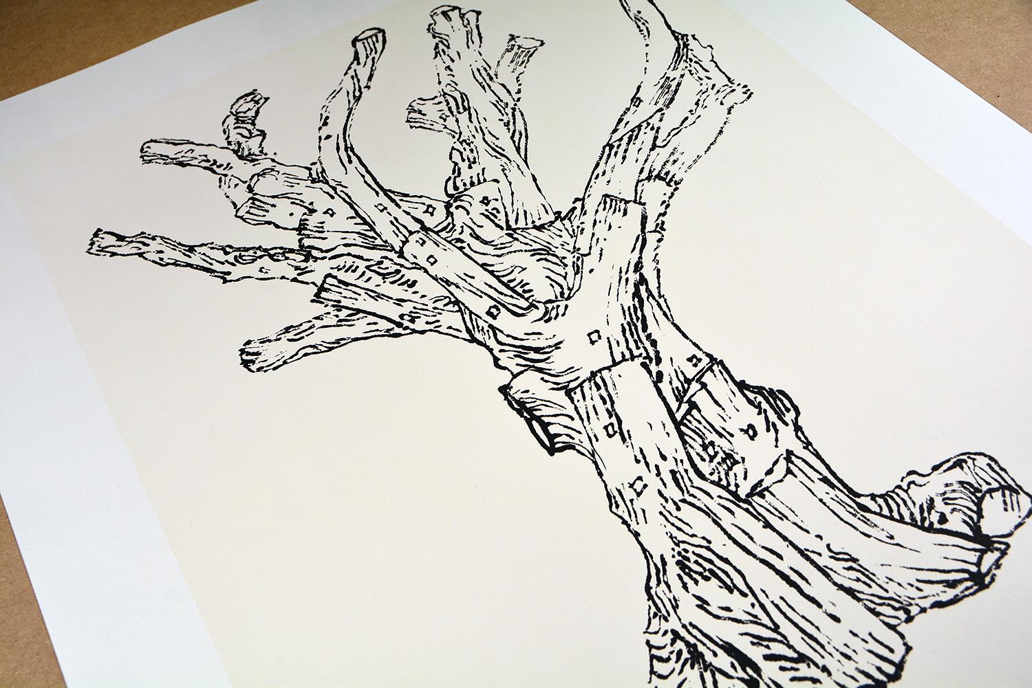 AI WEIWEI - CEDAR (LARGE) Chinese Modern Activism Tree Tradition Ink White - Print by Ai Weiwei