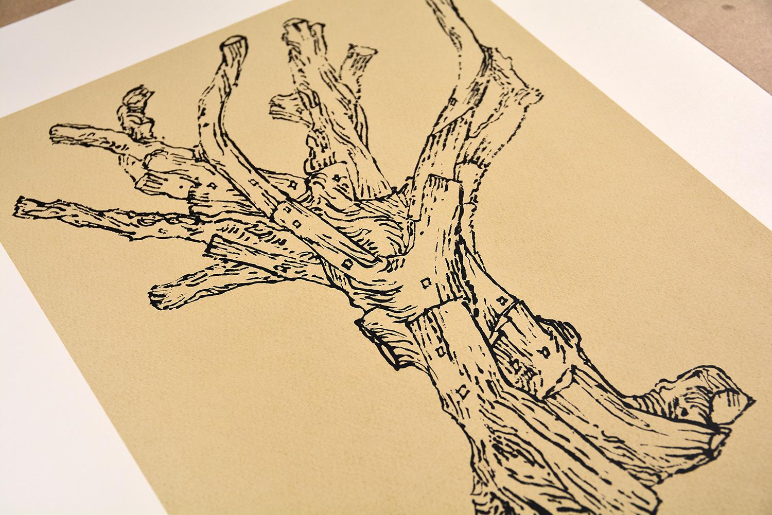 AI WEIWEI CEDAR (SMALL)  Chinese Contemporary Modern Activism Tree Tradition Ink - Conceptual Print by Ai Weiwei