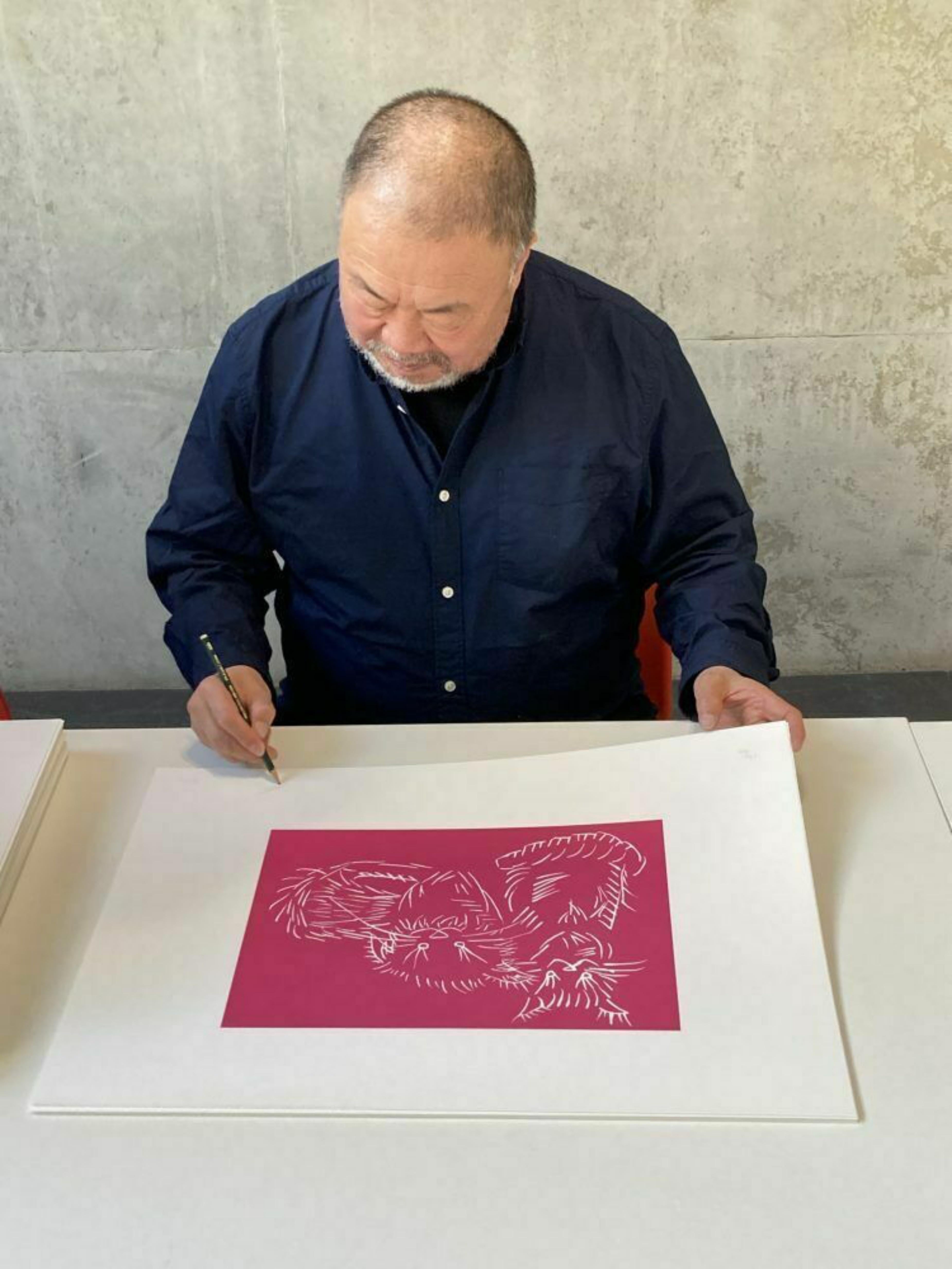 Cats (Pink) - Print by Ai Weiwei