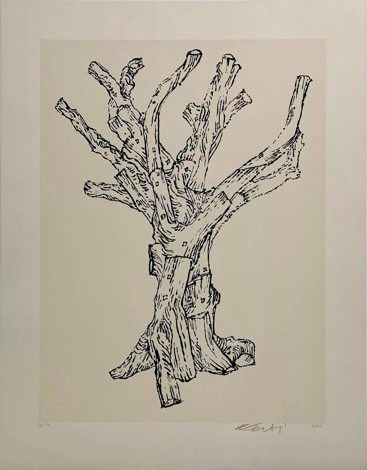 Cedar - Printer's Proof - Chinese Contemporary Modern Activism Tree Tradition