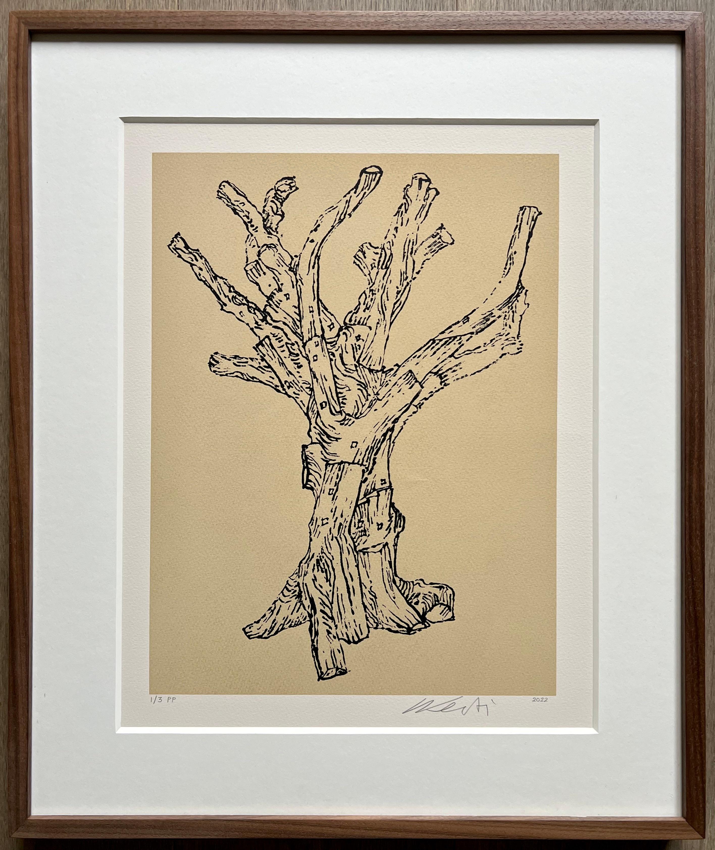 Cedar - Printer's Proof - Chinese Contemporary Modern Activism Tree Tradition