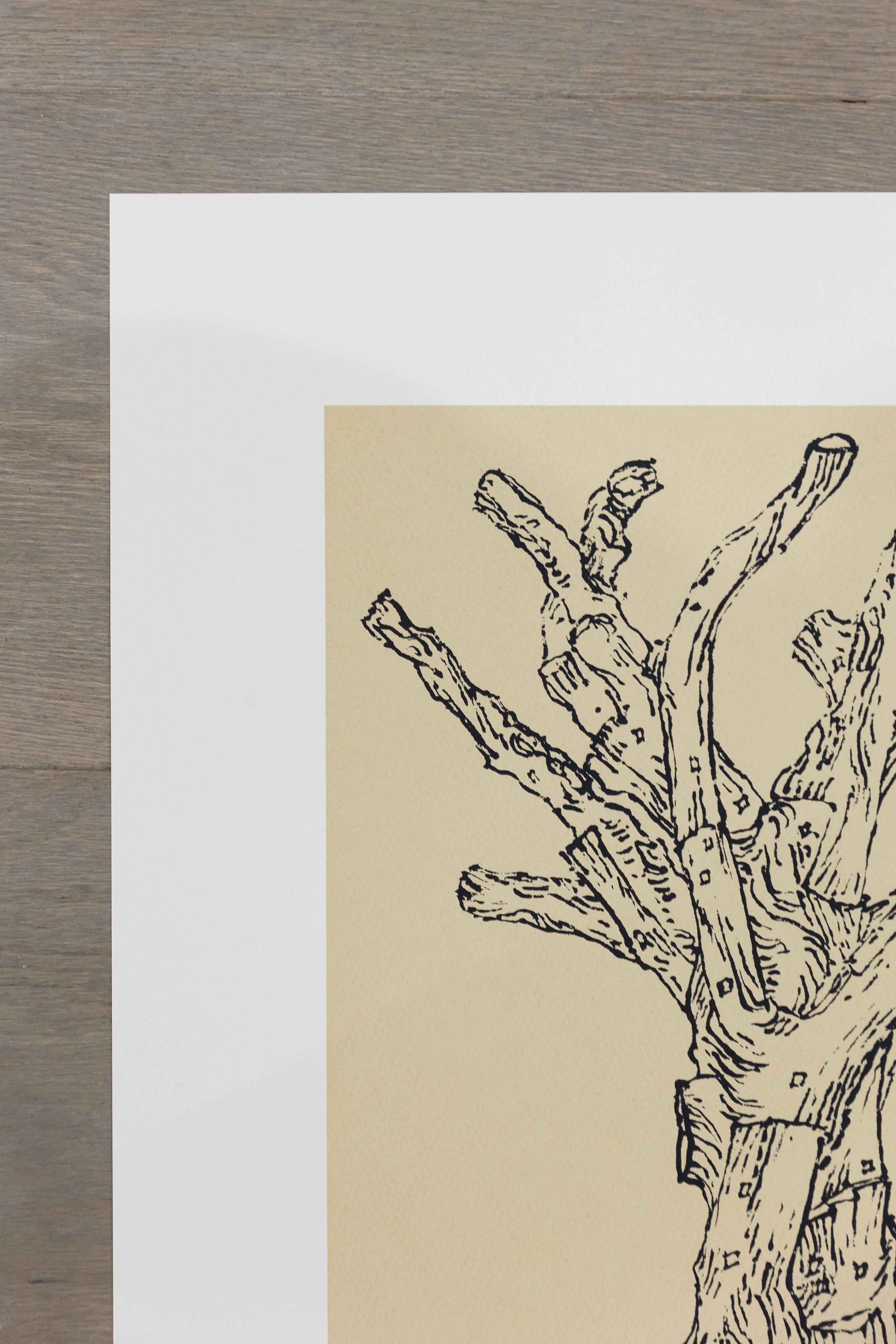 Zedernholz (klein) – Print von Ai Weiwei