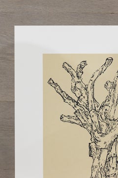 Cedar (small)