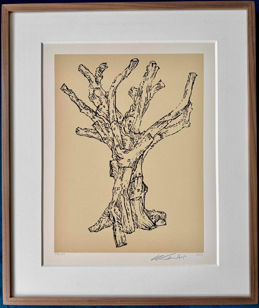 Cedro (pequeño)