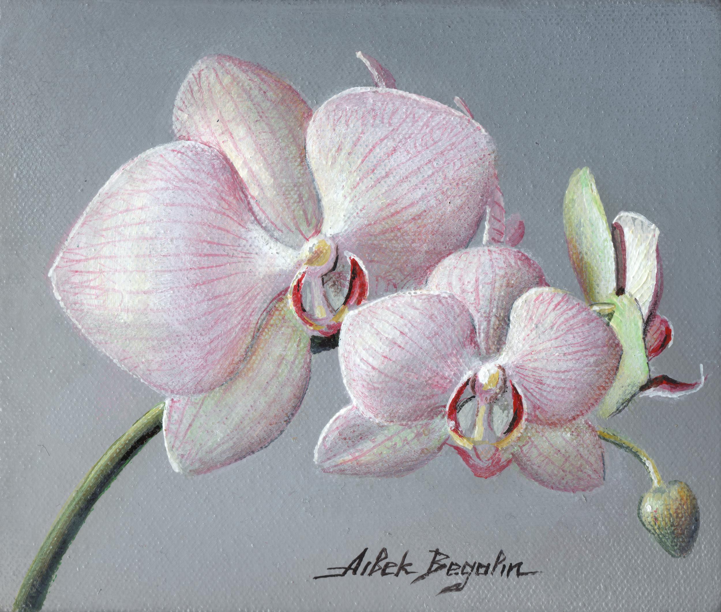 Aibek Begalin Landscape Painting - Orchid, Flowers, Original Oil Painting, Ready to Hang