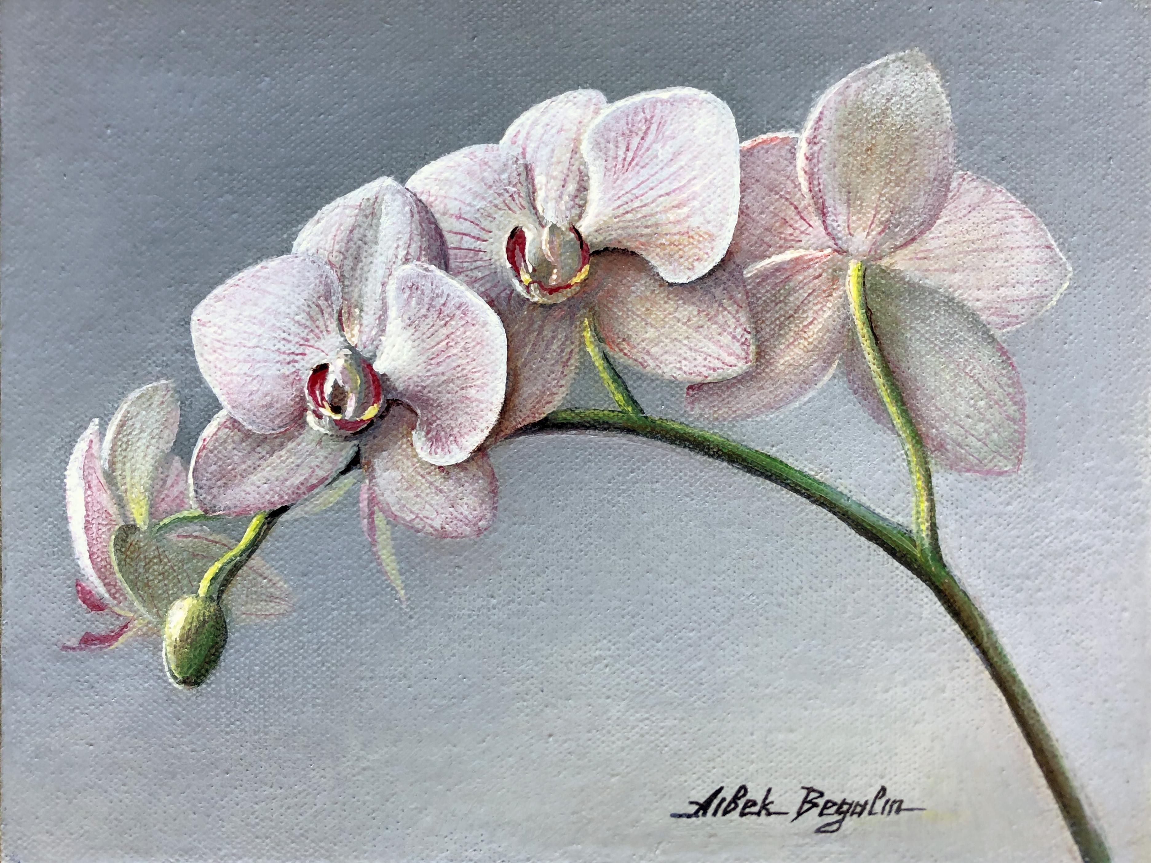 Orchid, Original Oil Painting, Ready to Hang