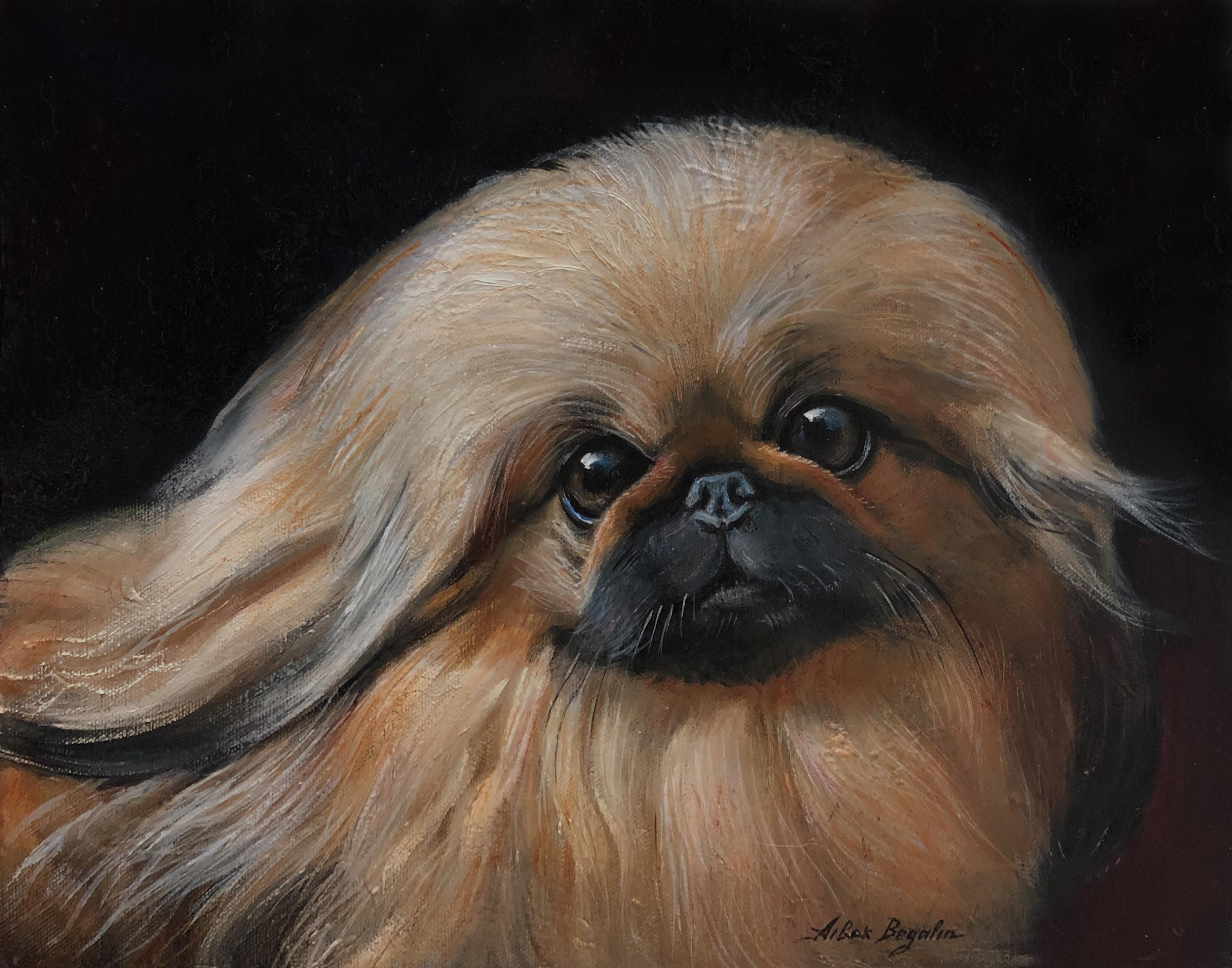 Pekingese, Dog, Original Oil Painting, Ready to Hang