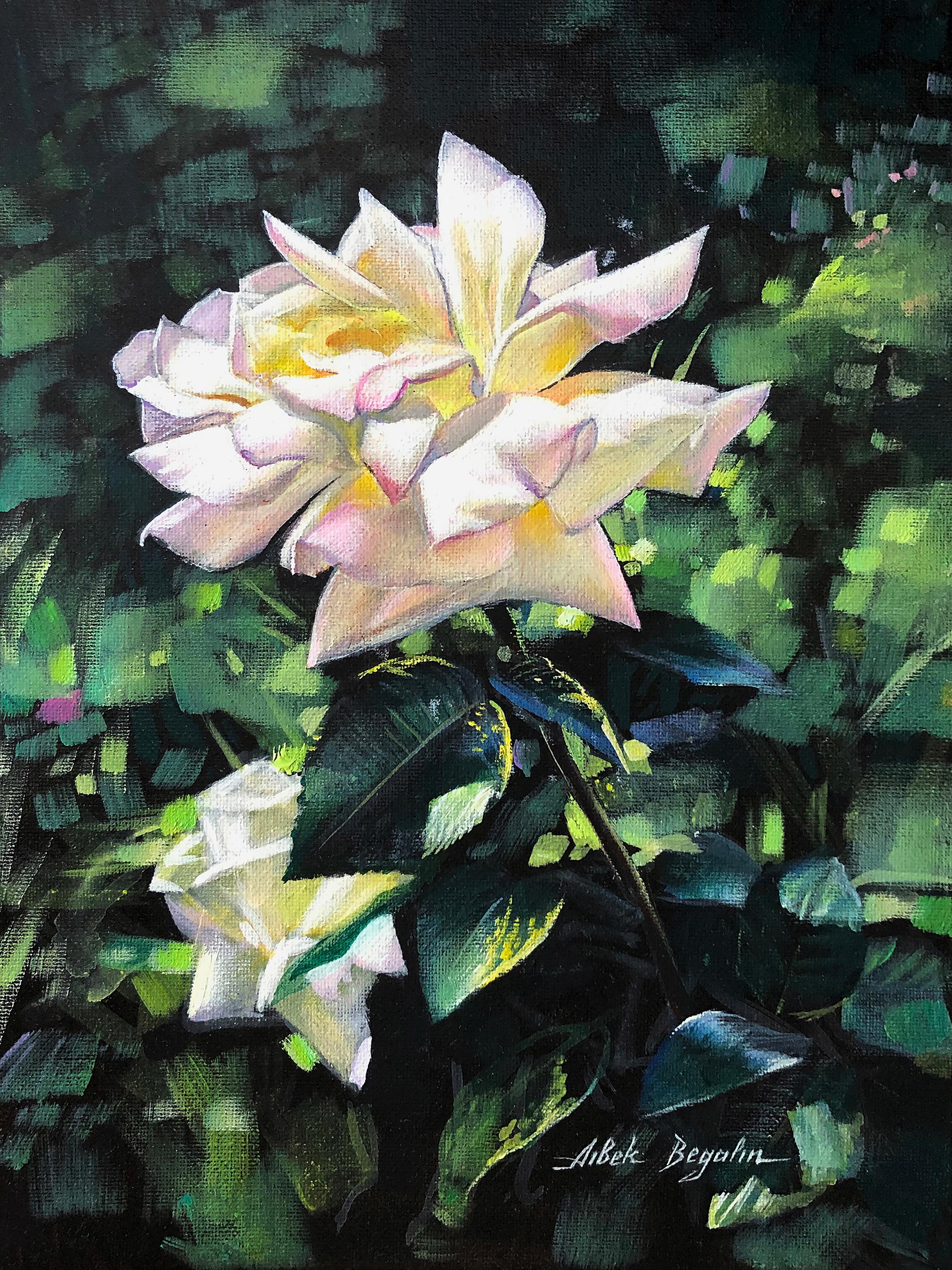 Landscape Painting Aibek Begalin - Roses blanches, fleurs, peinture à l'huile originale, œuvre d'art faite main