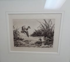 1942 Federal Duck Stamp Etching Aiden Lassell Ripley  American Widgeon