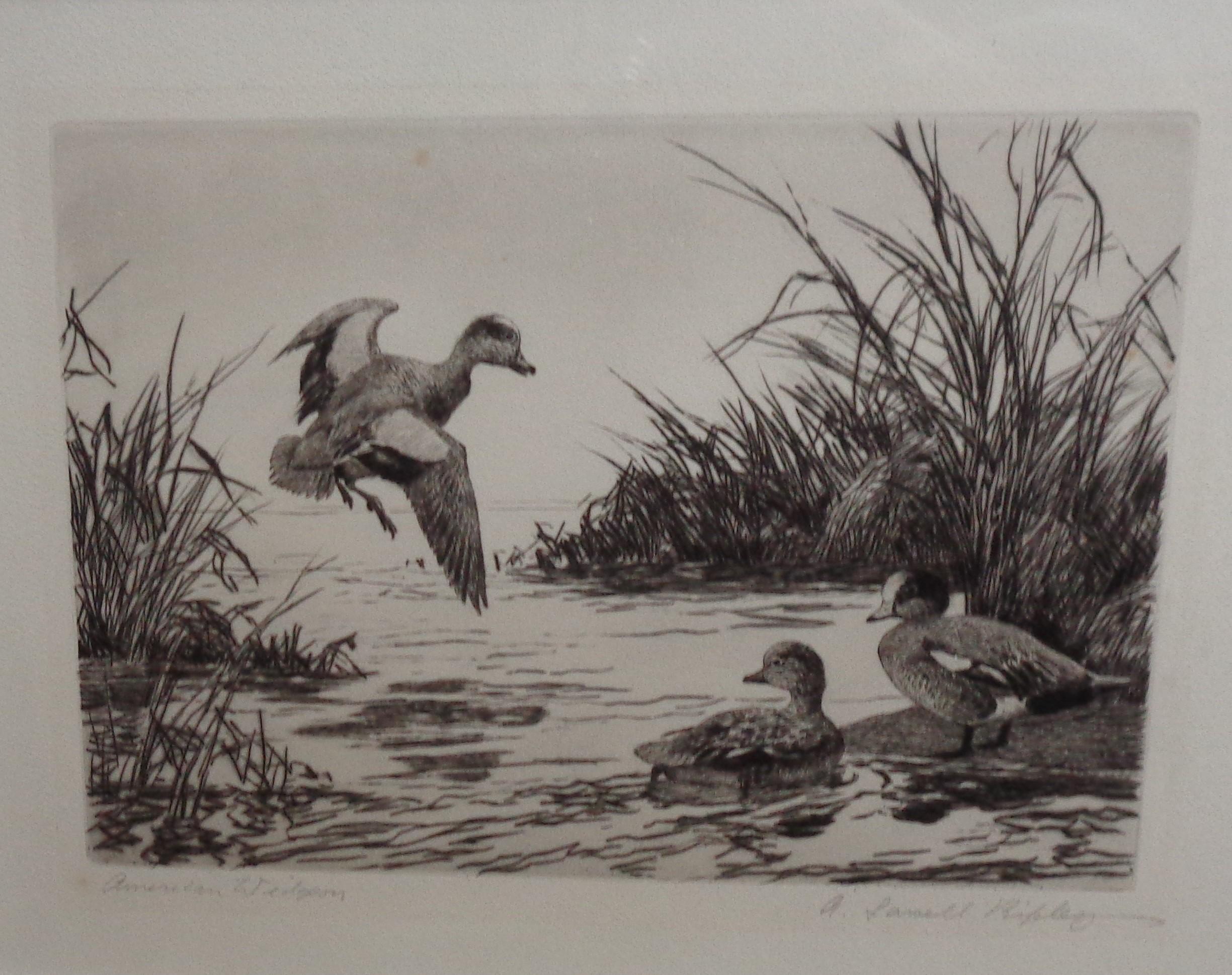 duck etching