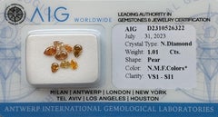 AIG Certified 1.01ct Natural Fancy Colored Diamonds