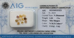 AIG Certified 1.01ct Natural Fancy Colored Diamonds