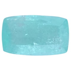 AIG Certified 13.80 Carat Natural Loose Paraiba Tourmaline Cushion Cut Gemstone