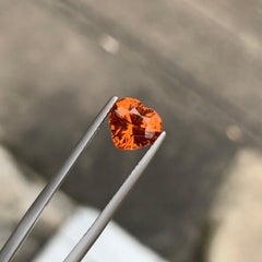 AIG Certified 2.68 Carat Natural Loose Colour Change Garnet From Tanzania