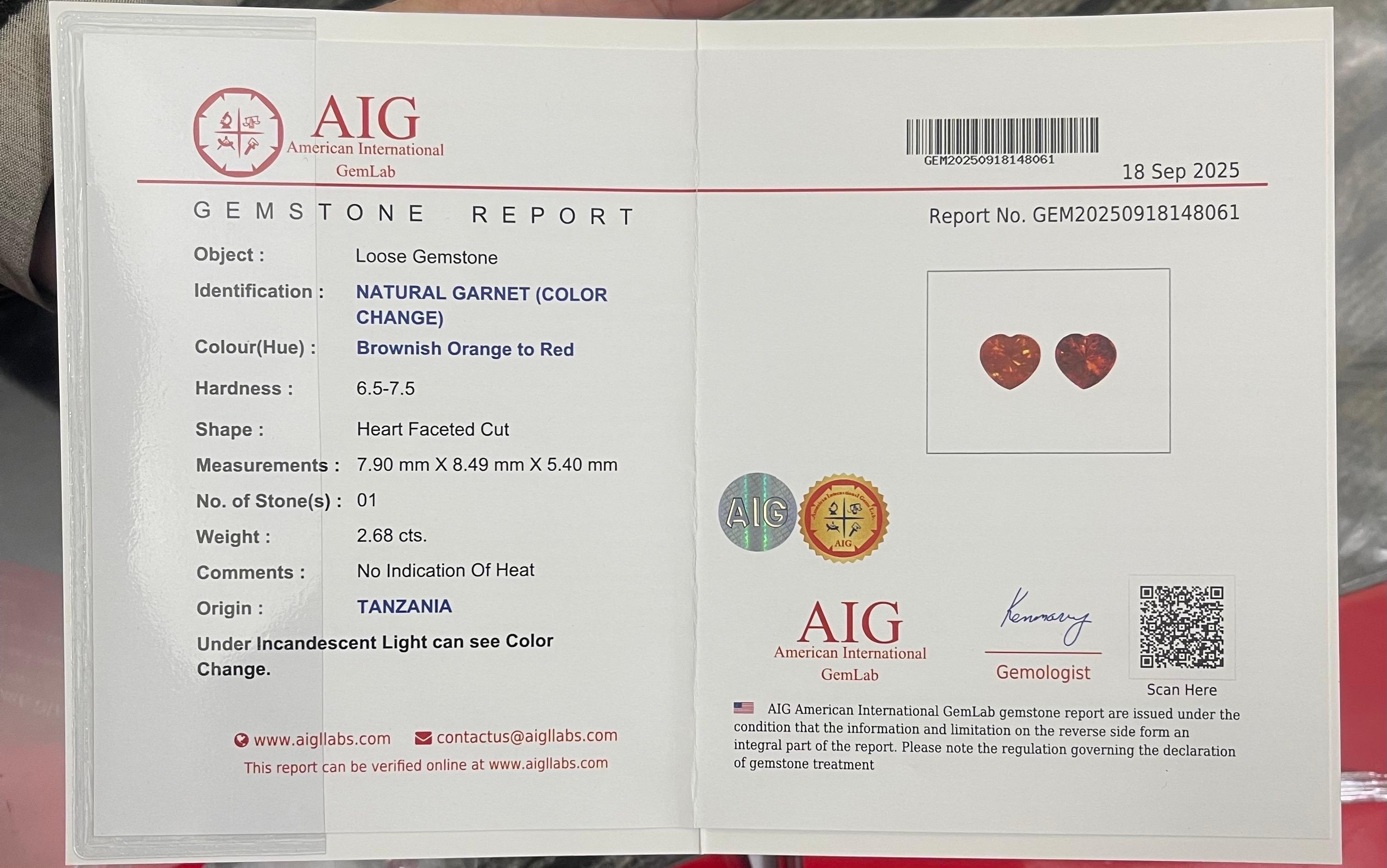 Arts and Crafts Granato naturale sfuso con cambio di colore certificato AIG da 2,68 carati proveniente dalla Tanzania in vendita