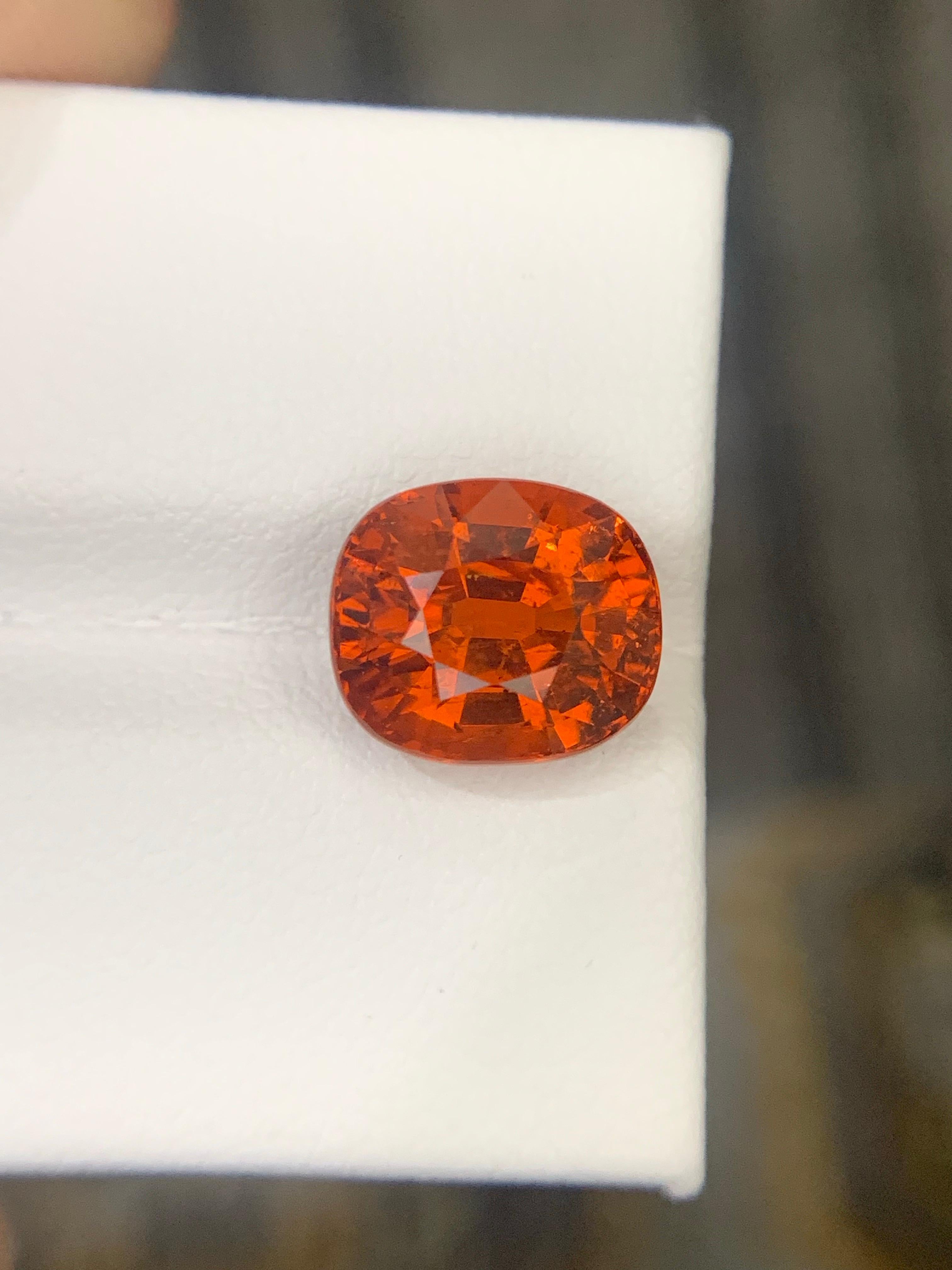 Granato Spessartite sfaccettato

Peso: 5,23 carati
Dimensioni: 9,80 x 8,44 x 6,52 mm
Forma: Cuscino
Origine: Madagascar 
Colore: Arancione vivo
Certificato: Certificato AIG disponibile

La spessartina è un granato di manganese e alluminio; il