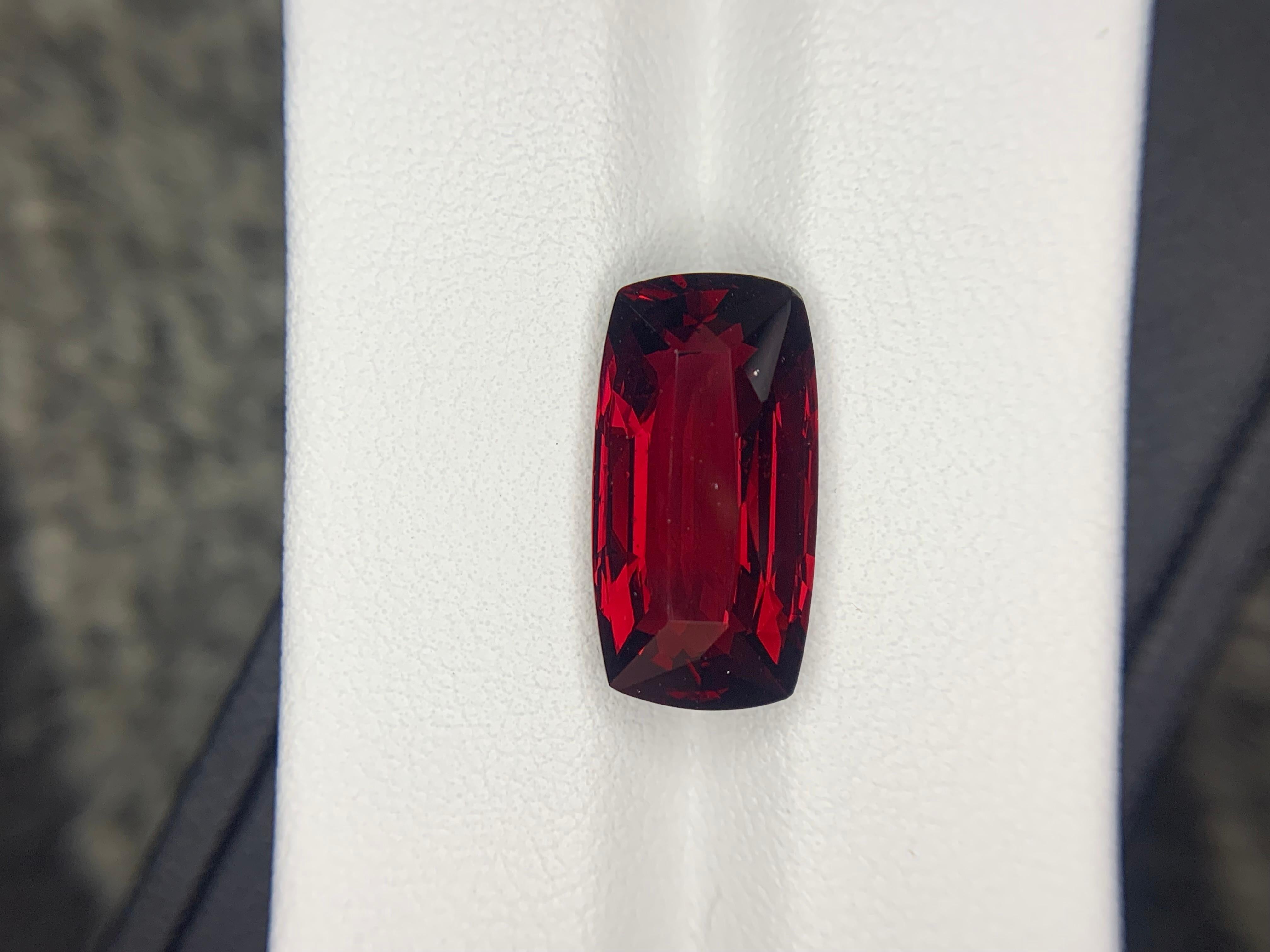 AIG Certified 9.96 Carat Natural Loose Almandine Garnet Cushion Shape Gemstone (pierre précieuse en forme de coussin) en vente 4