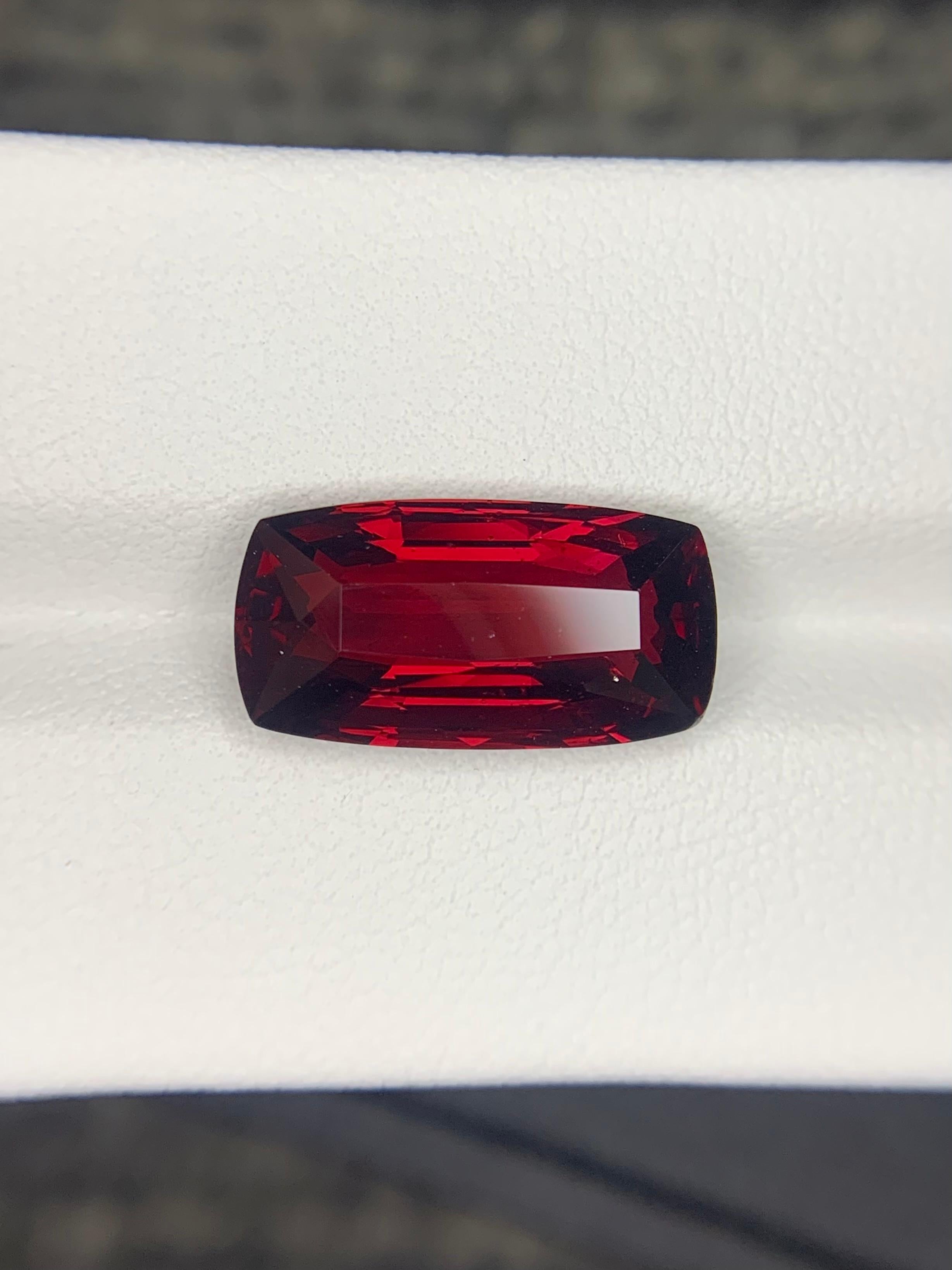 AIG Certified 9.96 Carat Natural Loose Almandine Garnet Cushion Shape Gemstone (pierre précieuse en forme de coussin) en vente 5