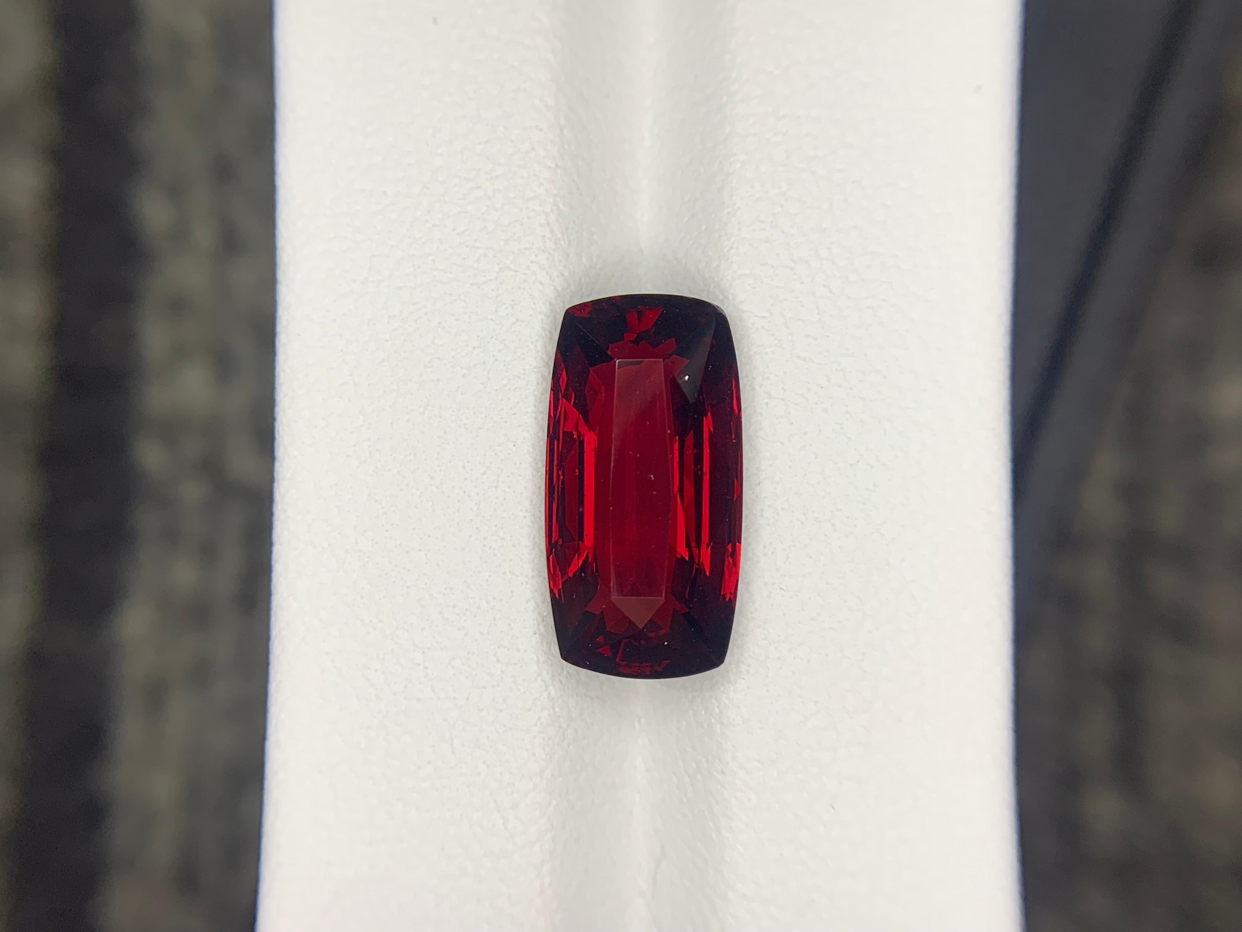AIG Certified 9.96 Carat Natural Loose Almandine Garnet Cushion Shape Gemstone (pierre précieuse en forme de coussin) en vente 6