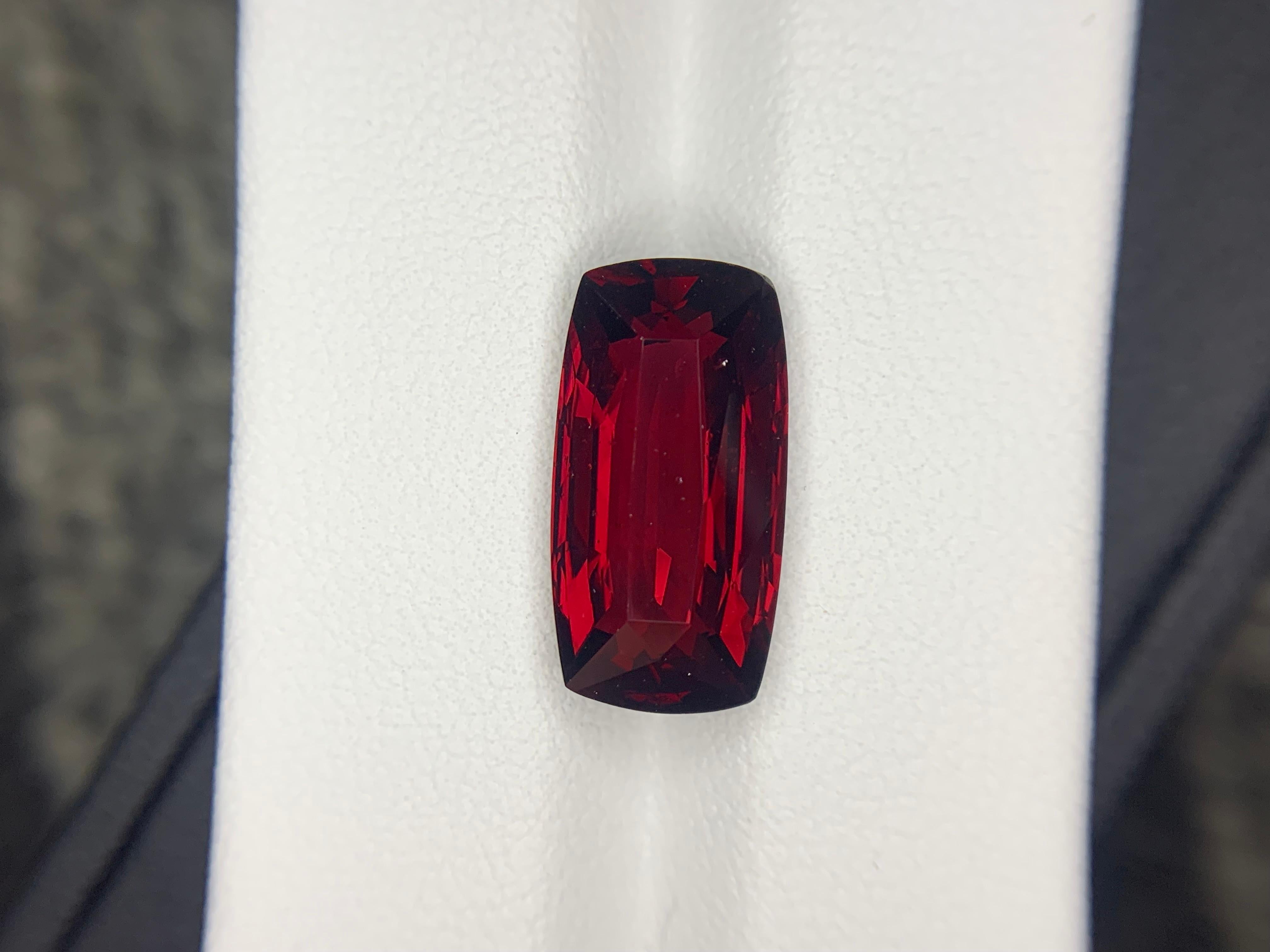 AIG Certified 9.96 Carat Natural Loose Almandine Garnet Cushion Shape Gemstone (pierre précieuse en forme de coussin) en vente 7