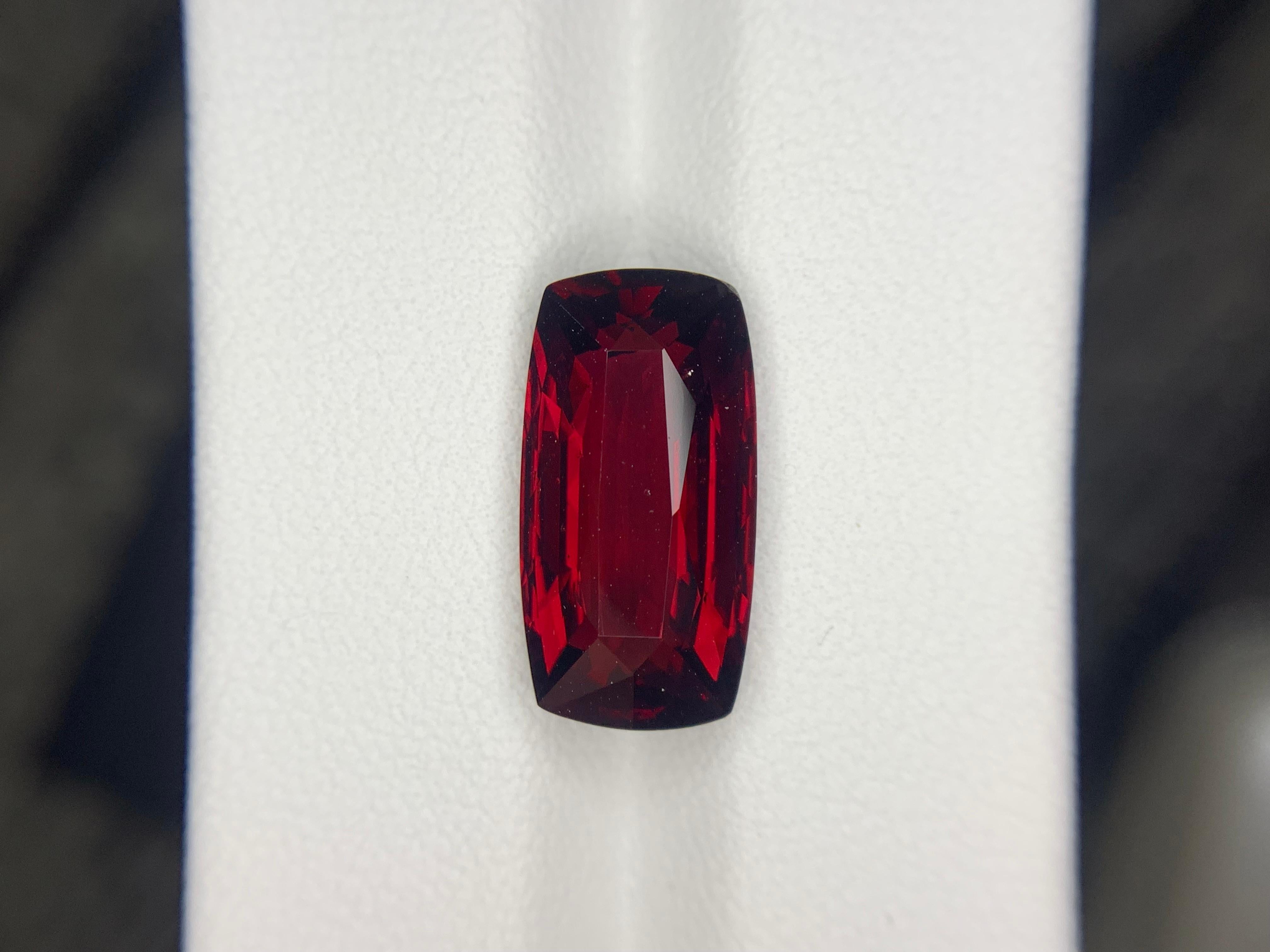 AIG Certified 9.96 Carat Natural Loose Almandine Garnet Cushion Shape Gemstone (pierre précieuse en forme de coussin) Unisexe en vente