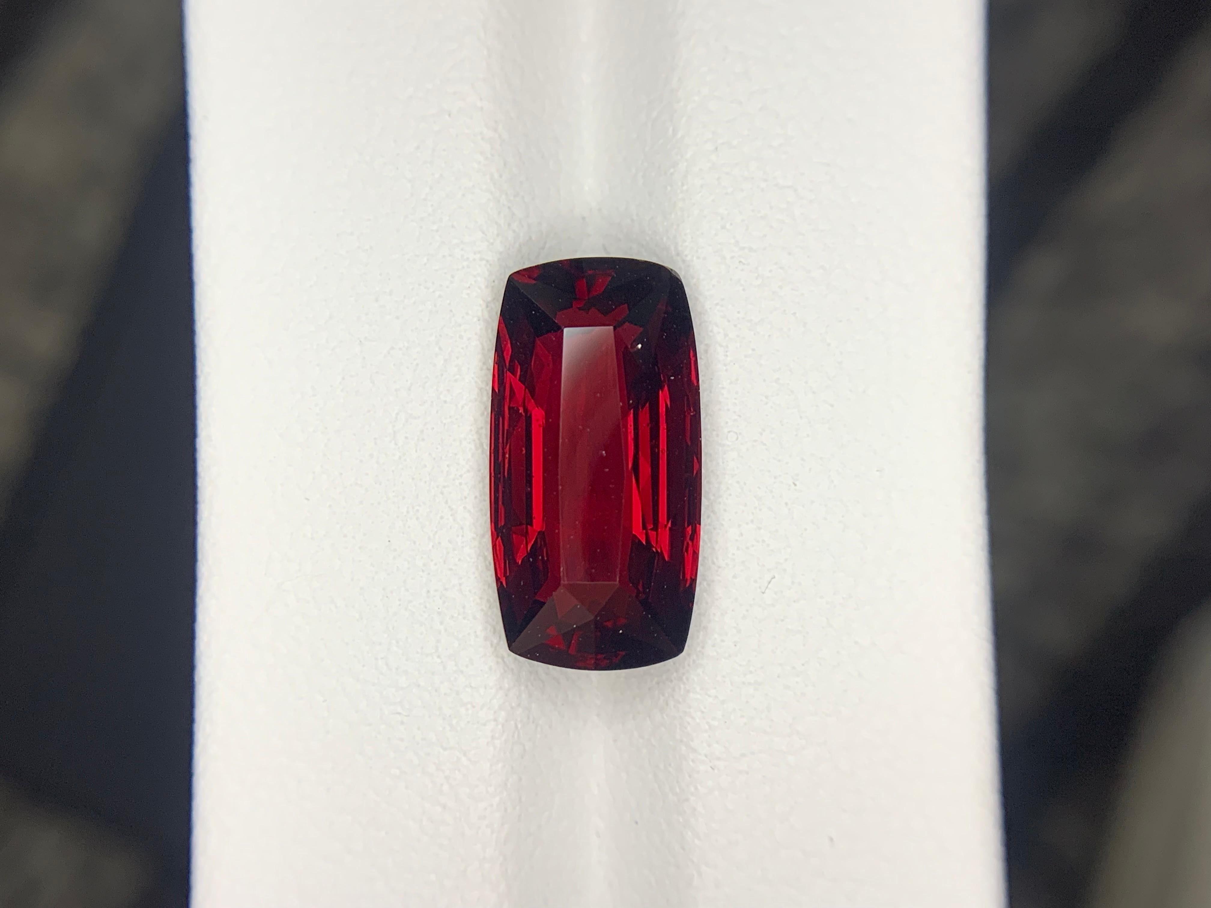 AIG Certified 9.96 Carat Natural Loose Almandine Garnet Cushion Shape Gemstone (pierre précieuse en forme de coussin) en vente 1