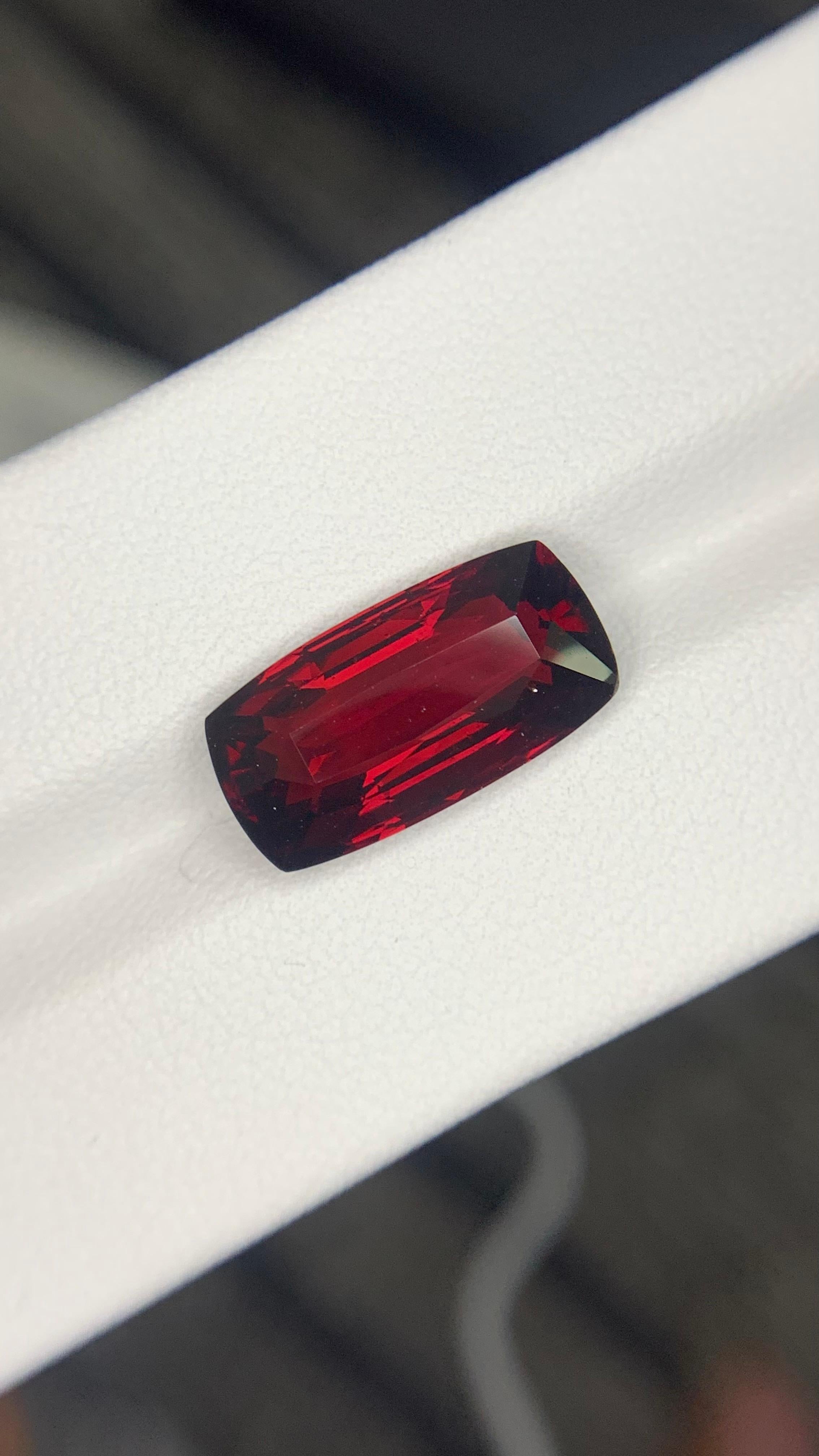 AIG Certified 9.96 Carat Natural Loose Almandine Garnet Cushion Shape Gemstone (pierre précieuse en forme de coussin) en vente 2