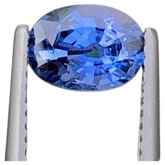 AIG Certified Faceted Blue Sapphire: 1.56 Carat Oval Cut Gemstone