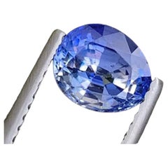 Saphir bleu à facettes certifié AIG : 1.86 Carat Bi Color Oval Cut Gemstone