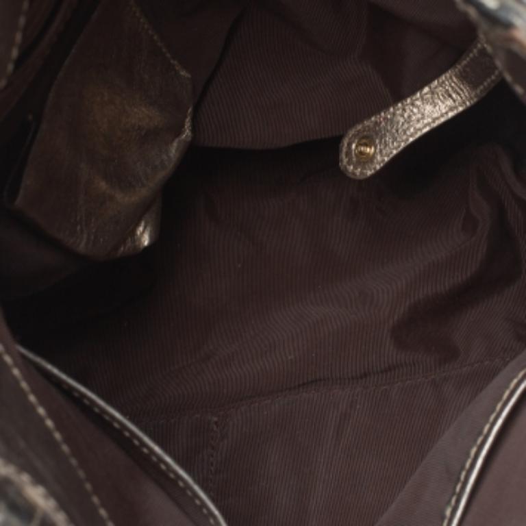 Aigner Metallic Python Hobo For Sale 5