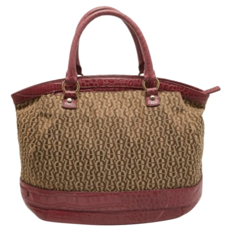 Cartera Aigner Pinnk Signature de lona y piel de cocodrilo con hebilla y logotipo