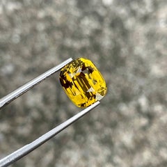 AIGS Certified 5.06 Carat Chrysoberyl Stone Cushion Cut from Sri Lankan