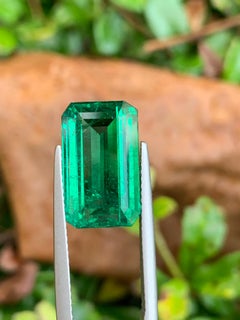 AIGS Certified 7.51 Ct Natural Zambian Emerald – Vivid Green colour