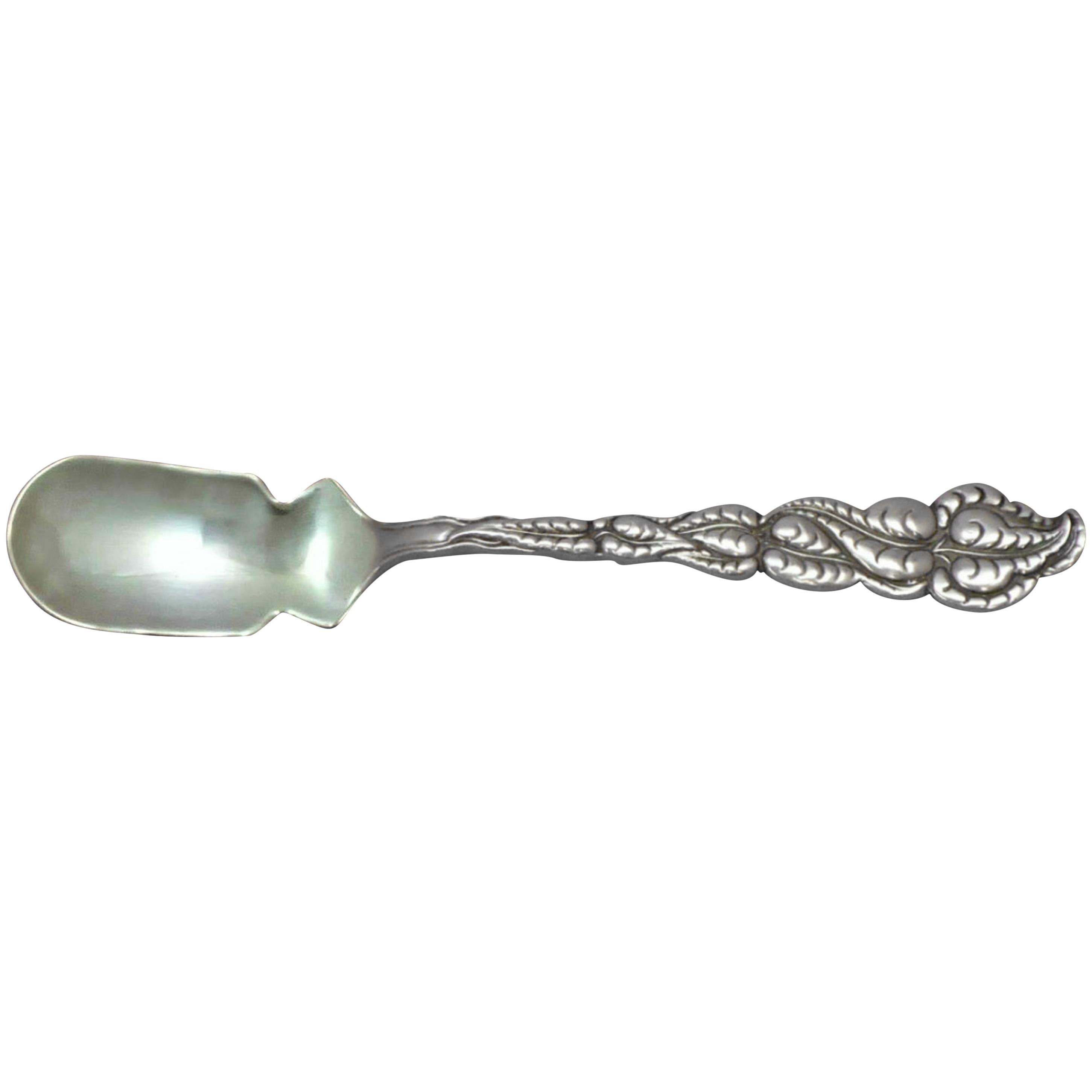 Ailanthus by Tiffany & Co Sterling Silver Horseradish Scoop Custom Made