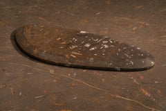 Assiette Deneb contemporaine Aina en marbre fossile jurassique, collection Living