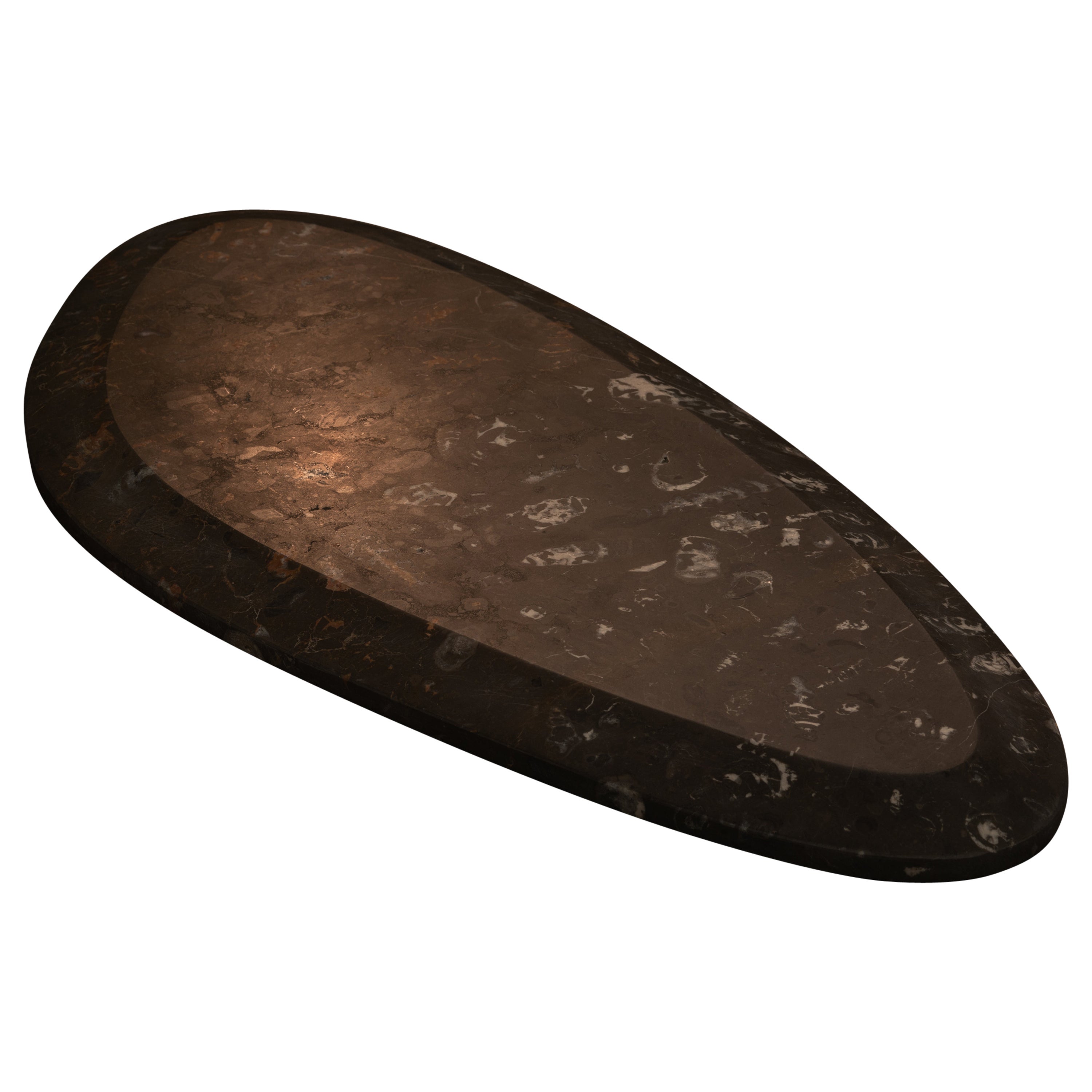 Aina Contemporary Jurassic Fossil Marble Deneb Plate, Living Collection For Sale