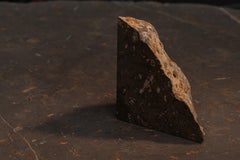 Aina One of a Kind Jurassic Fossil Marble Stella Bookend, Unique Collection