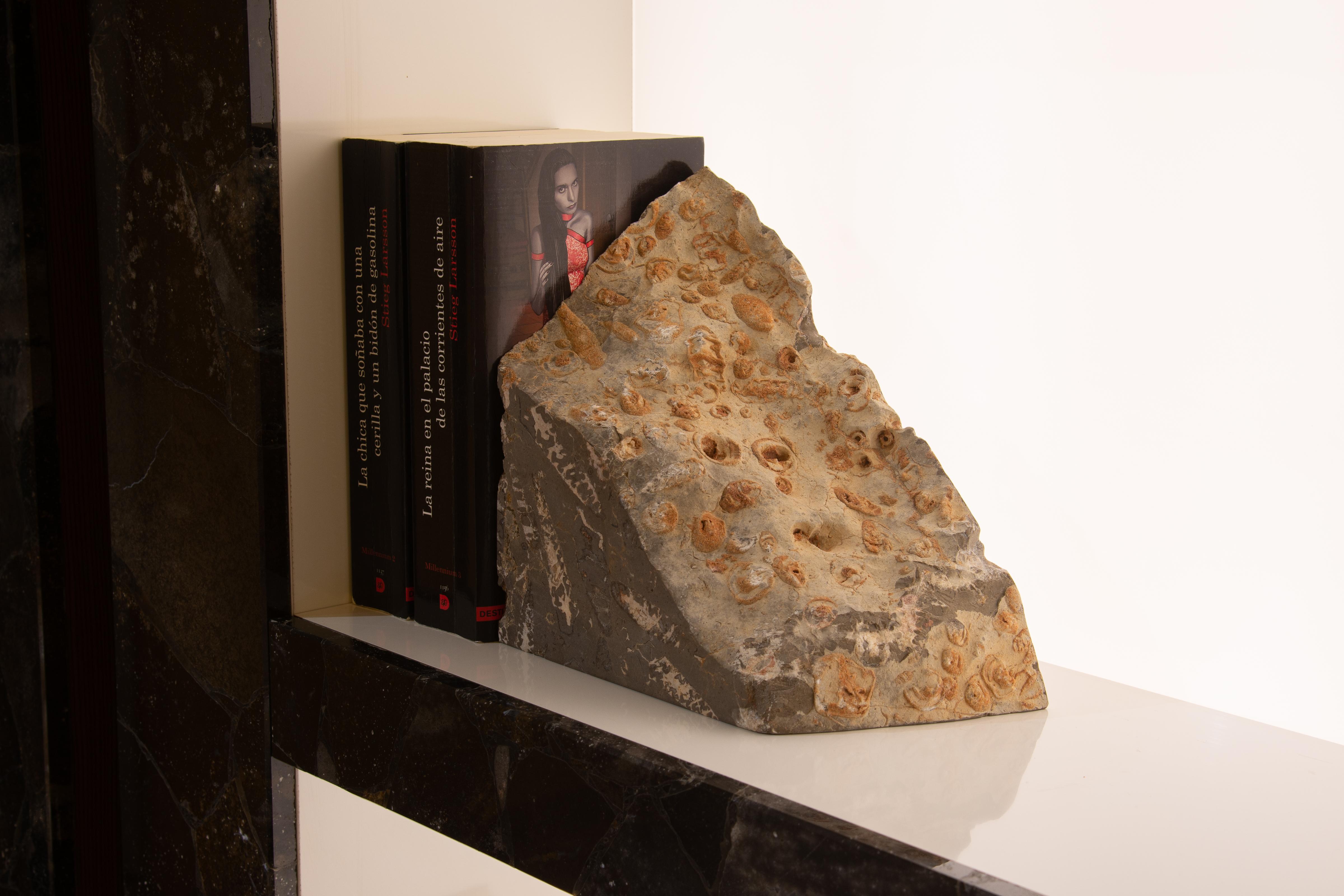 Contemporary Aina One of a Kind Jurassic Fossil Marble Stella Bookend, Unique Collection For Sale