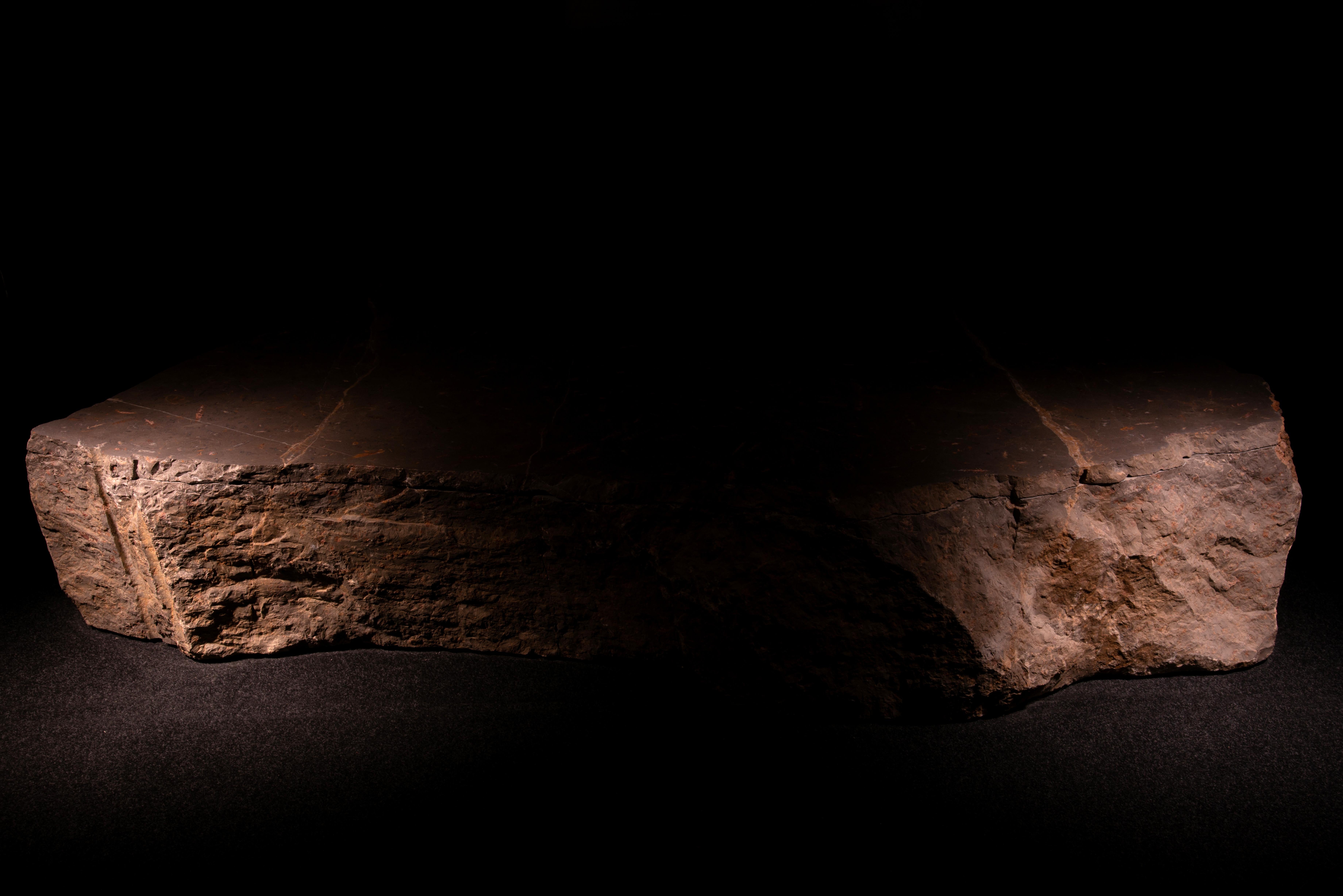Aina Einzigartiger Tee-Herz-Tisch aus Jura- Fossil-Marmor, einzigartige Kollektion (21. Jahrhundert und zeitgenössisch) im Angebot