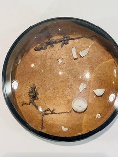 Sculture di Airin Canedo in legno, vetro, rettili e uova circa 1990