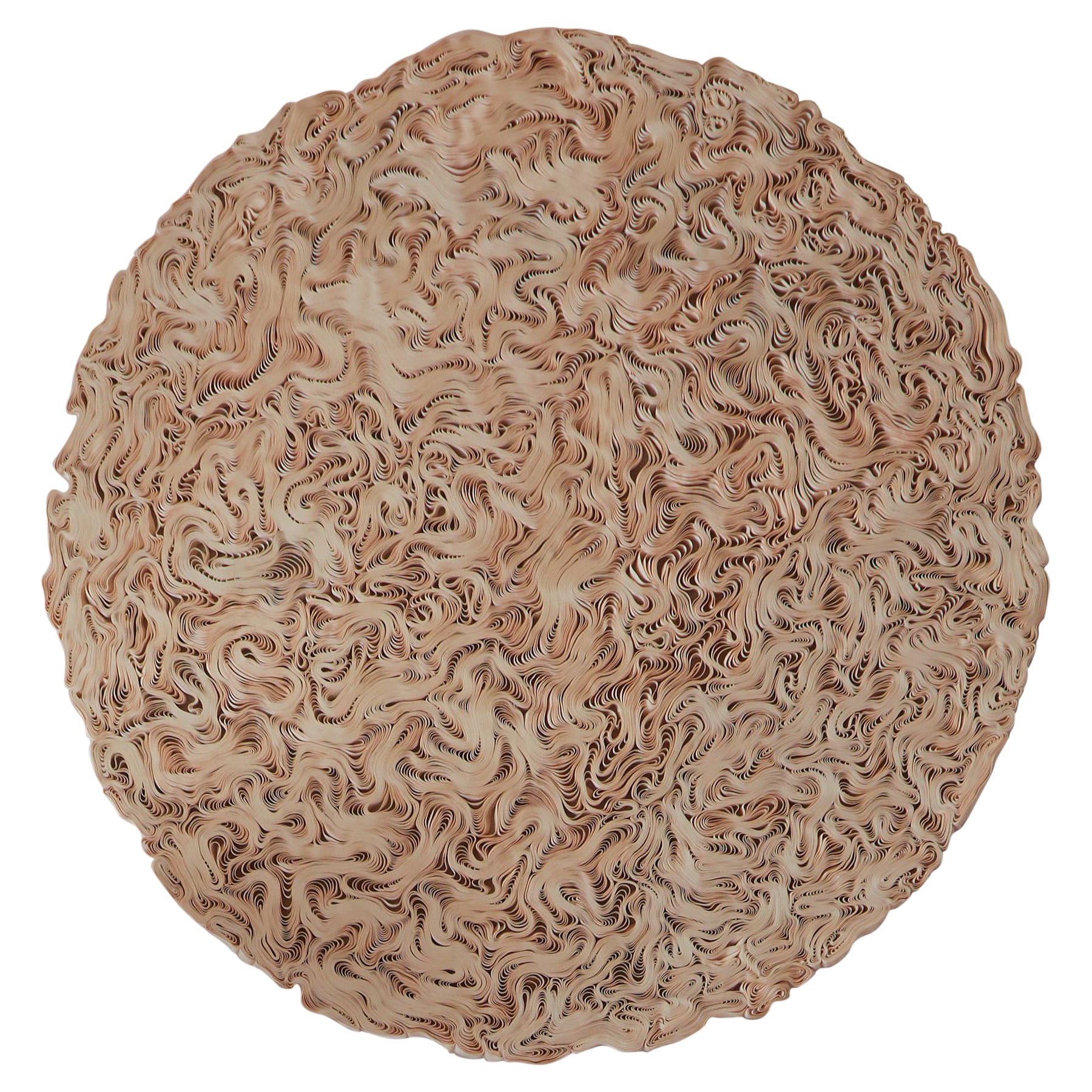 Aiveen Daly Ribbon Sculpture 
Coralation
 For Sale