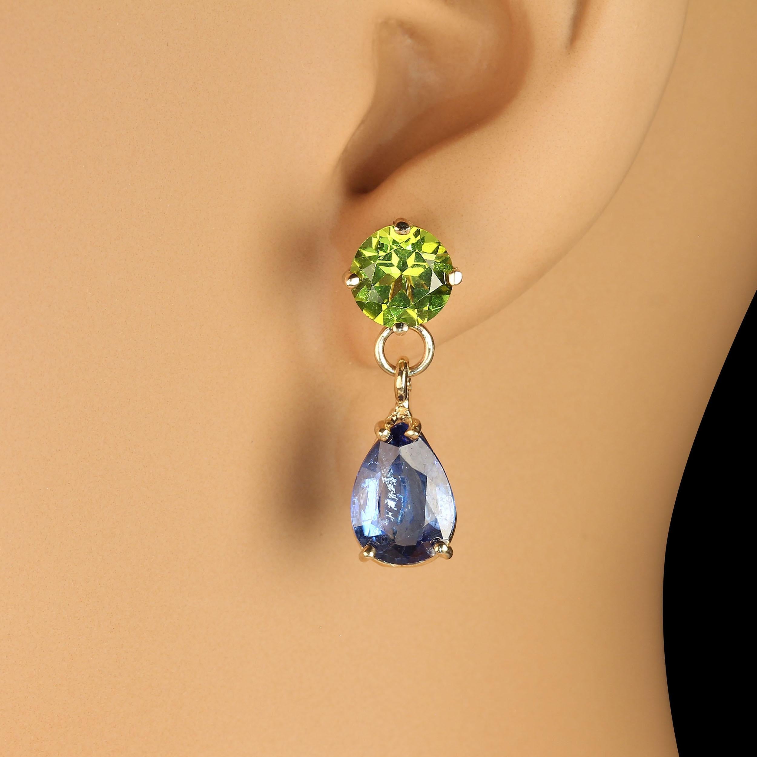  Unique earrings of sparkling green Peridot and deep blue Kyanite in handmade 14K rich yellow gold settings. These gorgeous gemstones hang one inch from top to bottom. The Peridot have a total weight of 4.42 carats and the Kyanite are 5.70 carats. 
