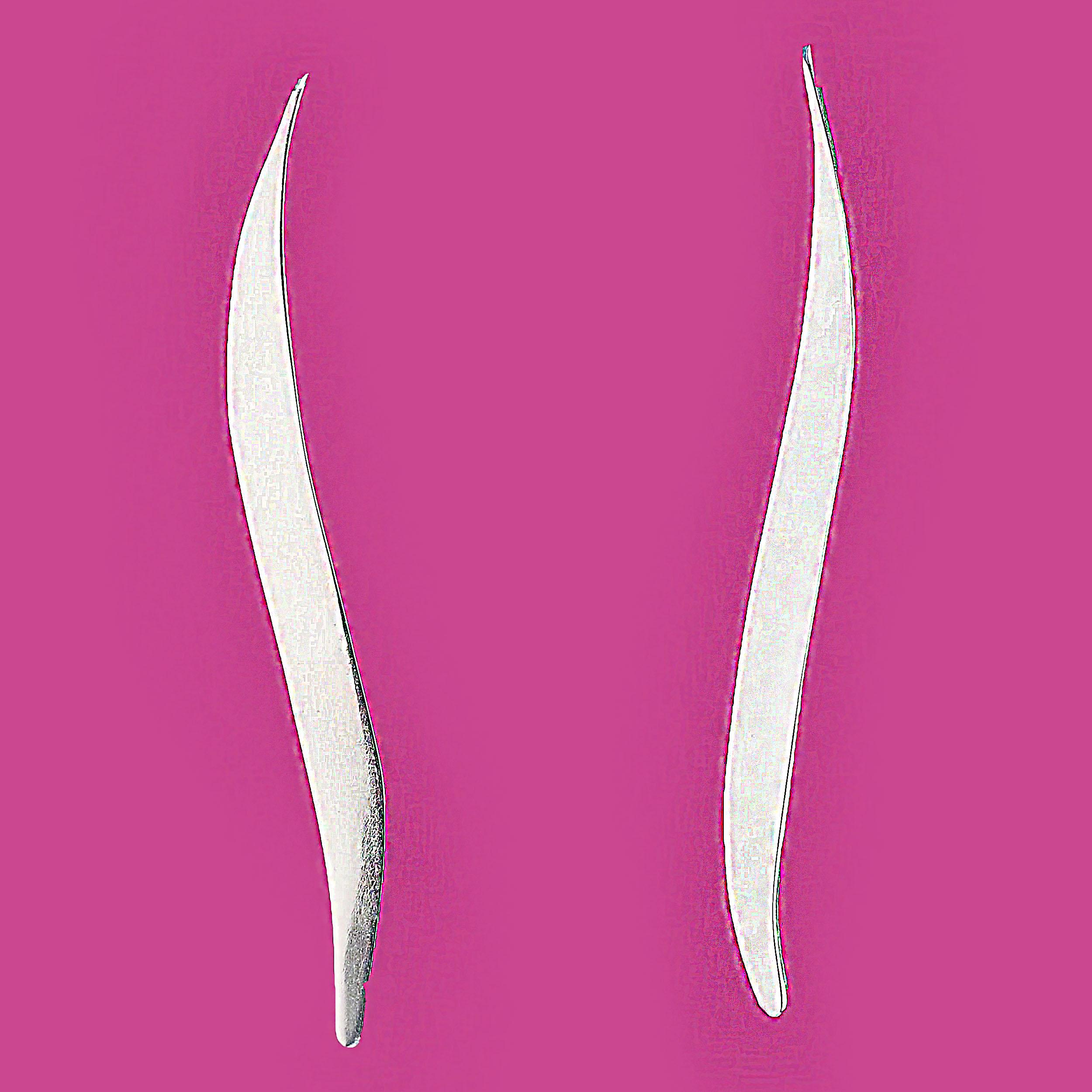 AJD Long Elegant Handmade Sterling Silver Earrings For Sale 3