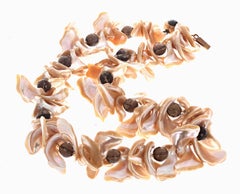 AJD Natural Pearl Muscheln durch echte natürliche Edelstein geschliffenen Rauchquarz Halskette verbessert