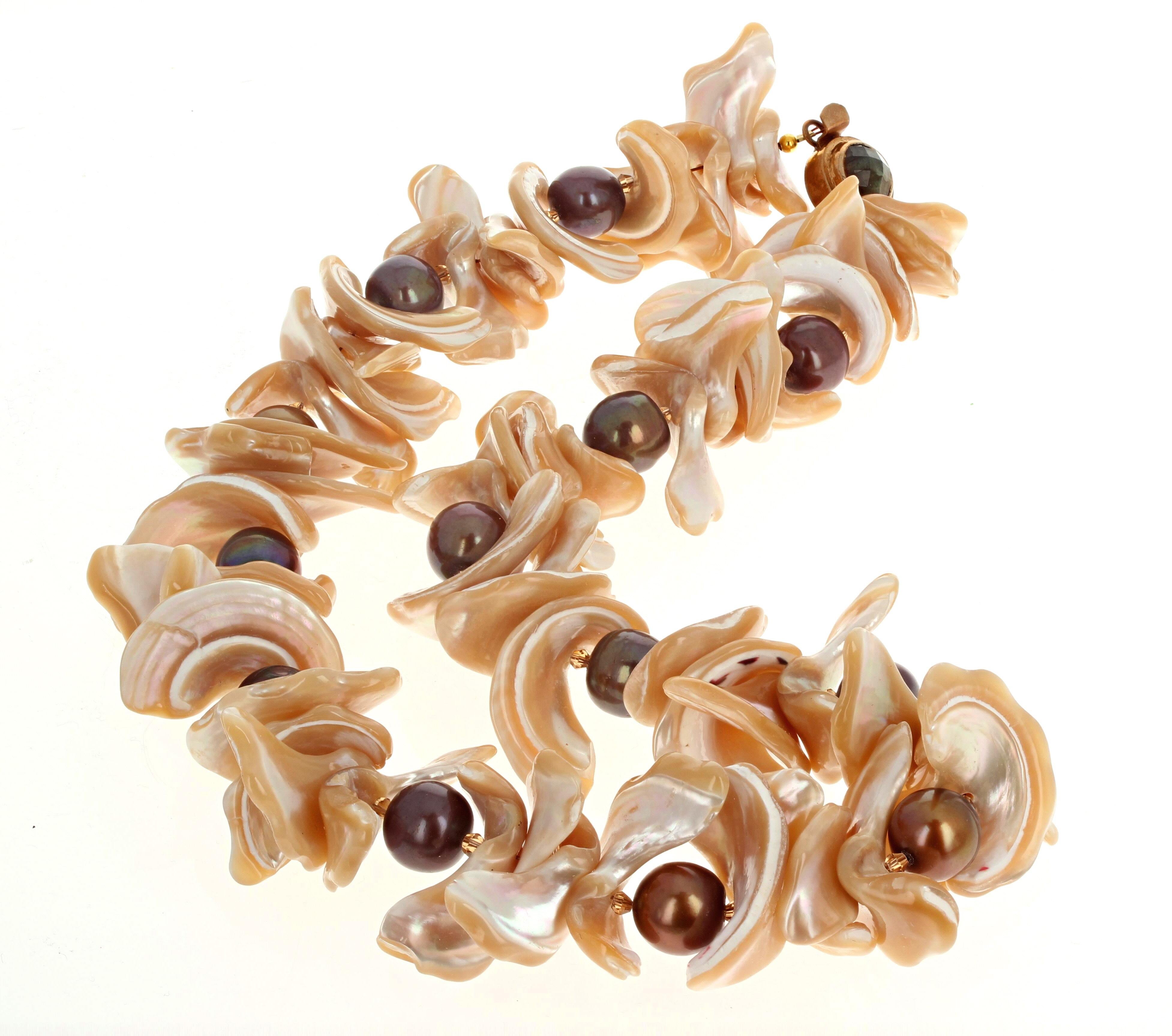 Ces magnifiques coquilles de perles entourent les vraies perles de culture rondes et brillantes de différentes couleurs.  Les plus grandes coquilles mesurent environ 30 mm de long.  Les perles sont rondes d'environ 12 mm.  Ce collier de 19 pouces de