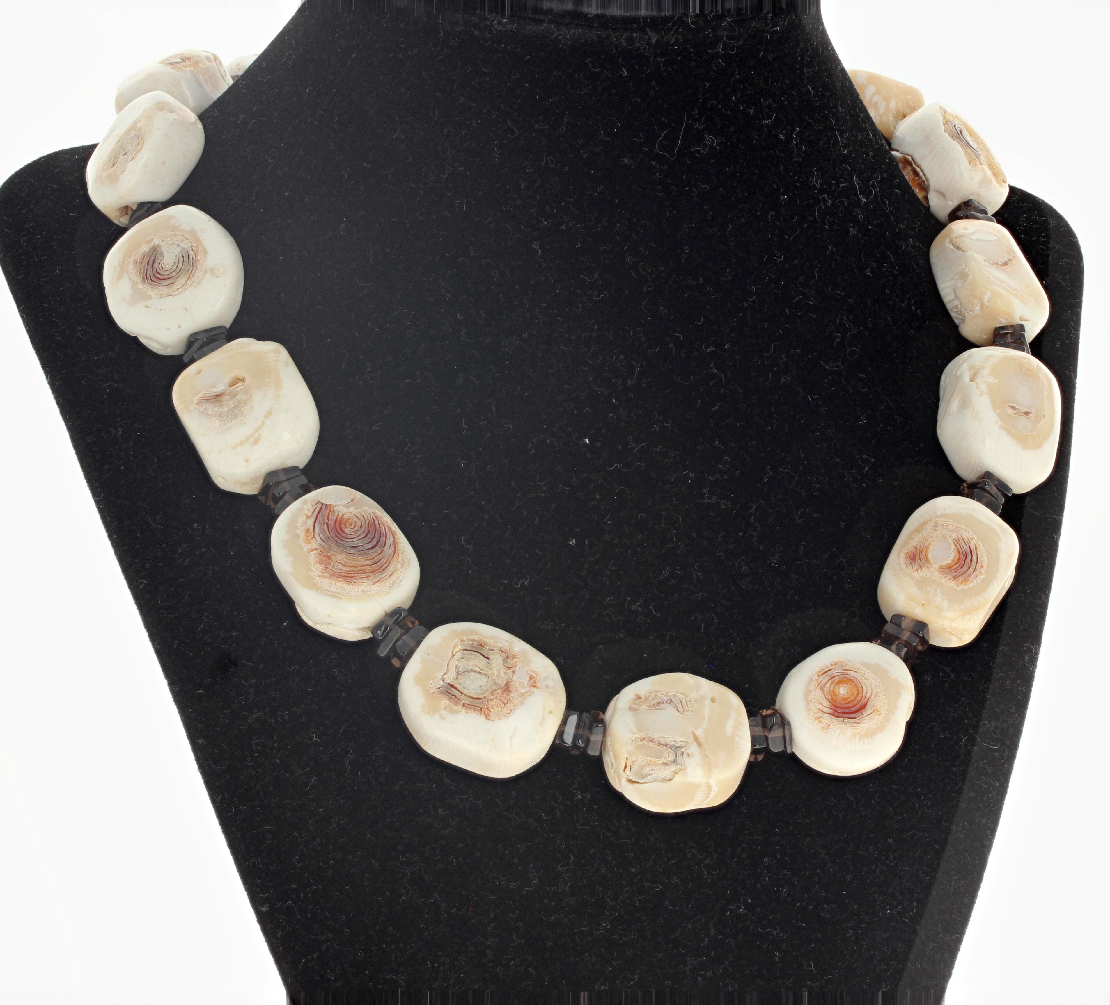 This creamy white natural Bamboo Coral Necklace is 18 inches long.  It is highly polished and is enhanced by glistening rondels of natural Smoky Quartz gemstones.  This lovely casual elegant necklace has a gold plated easy to use slide-in clasp. 