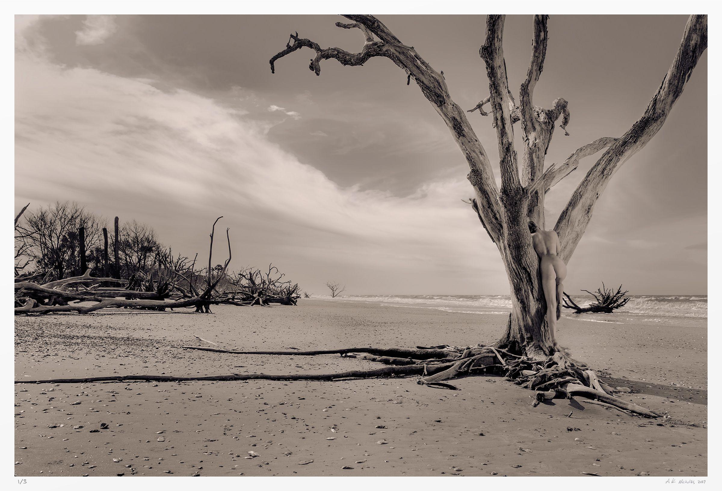 A solitary figure is nestled in the lower limbs of a tree at the waterline. The sepia tones camouflage her body, hidden in plain sight, until it is discovered.    The allure of the coast played an immense role in the development of my visual style.